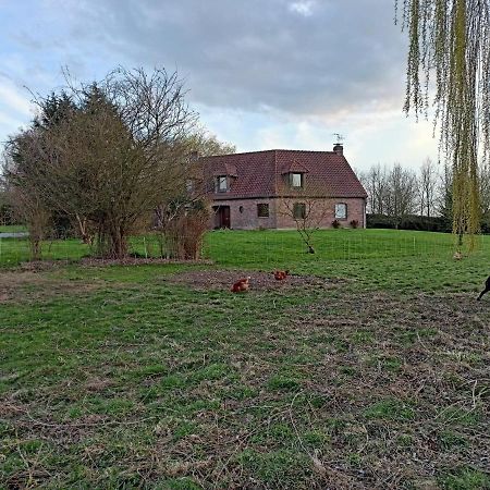 Les chambres d'hôtes DU VERT GALANT  l'Allée des champs Verlinghem Exterior foto