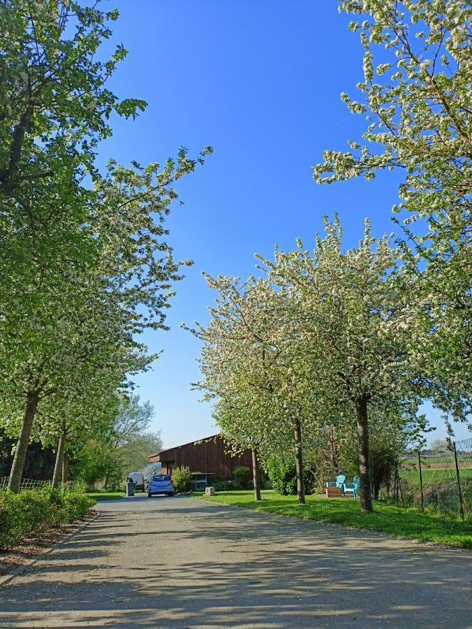 Les chambres d'hôtes DU VERT GALANT  l'Allée des champs Verlinghem Exterior foto