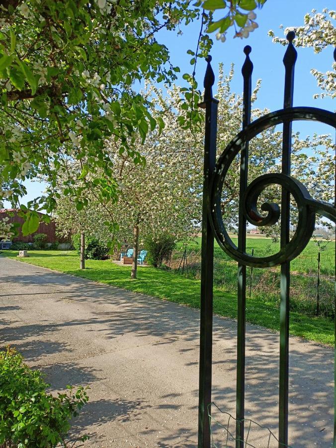 Les chambres d'hôtes DU VERT GALANT  l'Allée des champs Verlinghem Exterior foto